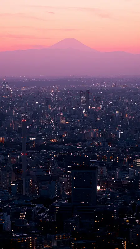 Danielle.Tokyo Premium Domain
